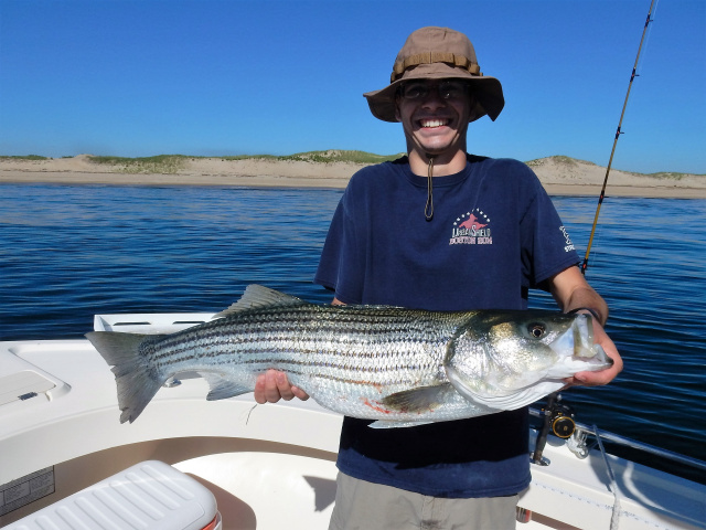 Plum Island beachfront striper caught by Steve